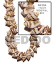 Natural Nassa Tiger Shell Sidedrill BFJ041SPS Shell Necklace Shell Beads