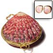 Natural Piktin Shell Coin Purse