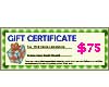 Natural Gift Certificate Worth $75 GIFT75 Shell Necklace Gift Certificates Vouchers