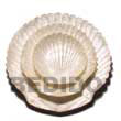 Natural Capiz Shell King Scallop