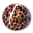 Natural Round Tiger Cowrie 40mm BFJ5077P Shell Necklace Shell Pendant