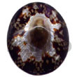 Natural Limpit Oval Pendants BFJ5126P Shell Necklace Shell Pendant