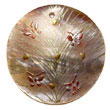 Natural Round 40mm Hammershell W/ Handpainted Design -