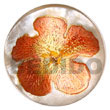 Natural Round 40mm Hammershell W/ Handpainted Design -