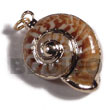 Natural Land snail shell molten gold metal jewelry