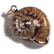 Natural Land Snail (approx. 30mm BFJ6271P Shell Necklace Shell Pendant