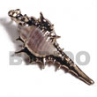 Natural Koriosos Family Shell BFJ6308P Shell Necklace Shell Pendant