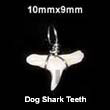 Natural Dog Shark Teeth Pendant