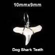 Natural Dog Shark Teeth Pendant BFJ5002P Shell Necklace Bone Pendants