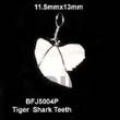 Natural Tiger Shark Teeth Pendant