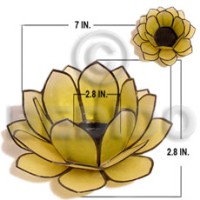 Colored lotus capiz yellow flower