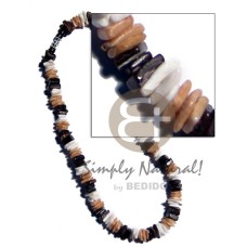 White rose in tan and