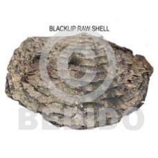 Ra unpolished blacklip shells