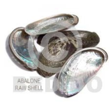 Ra unpolished abalone shells