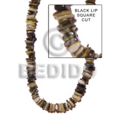 Black lip square cut