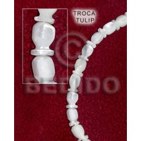 Troca tulip