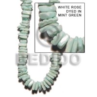 White rose dyed in mint