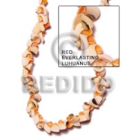 Red everlasting luhuanus