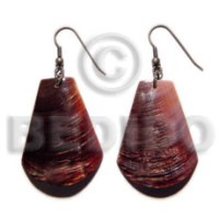 Dangling brown shell 35mm