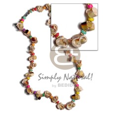 Everlasting green luhuanus multicolored