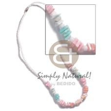 White rose in pastel colors