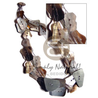 Blacklip shells in varied sizes