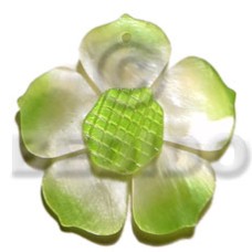Graduated lime 35mm hammershell flower