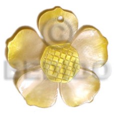 Graduated yellow 25mm hammershell flower