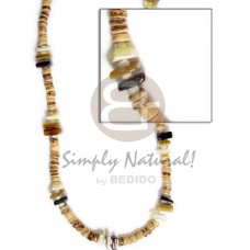 Coco pokalet nat brownlip