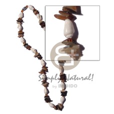 Nassa brownlip sq. cut