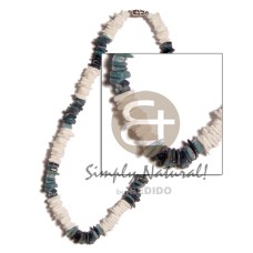 White rose blue hammershell