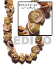 Natural Everlasting Luhuanus Shell In Beads Strands Or
