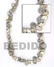 Bonium Gray Shell In Beads Strands Or