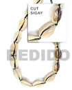 Natural Sigay Shell In Beads Strands Or Shell